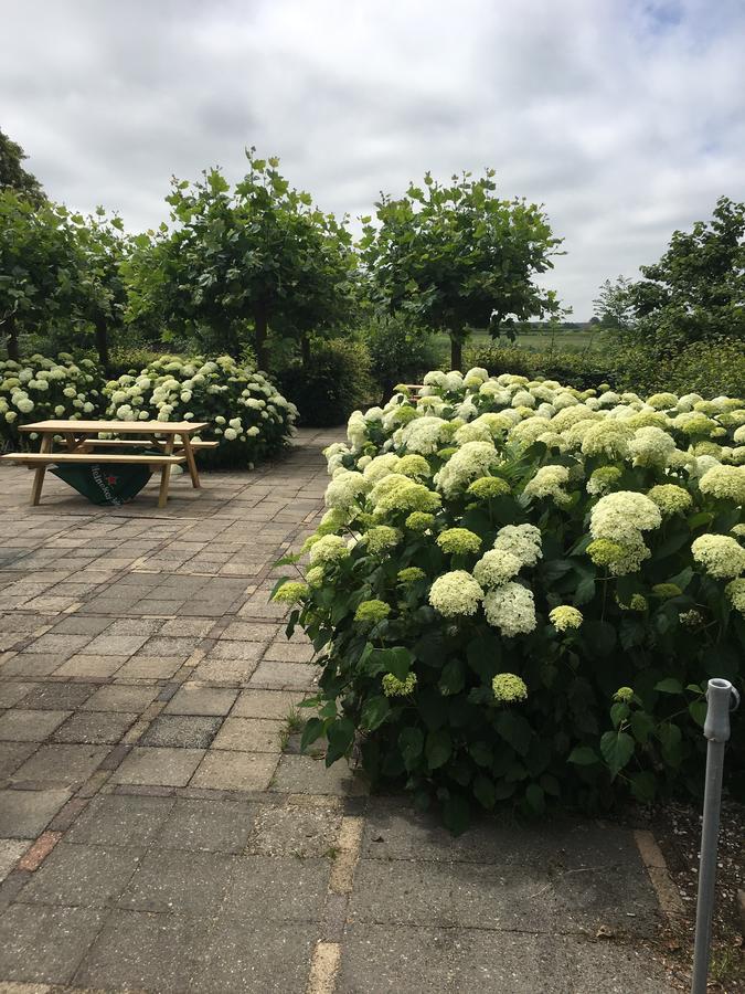 'T Wapen Van Middelie Exterior foto